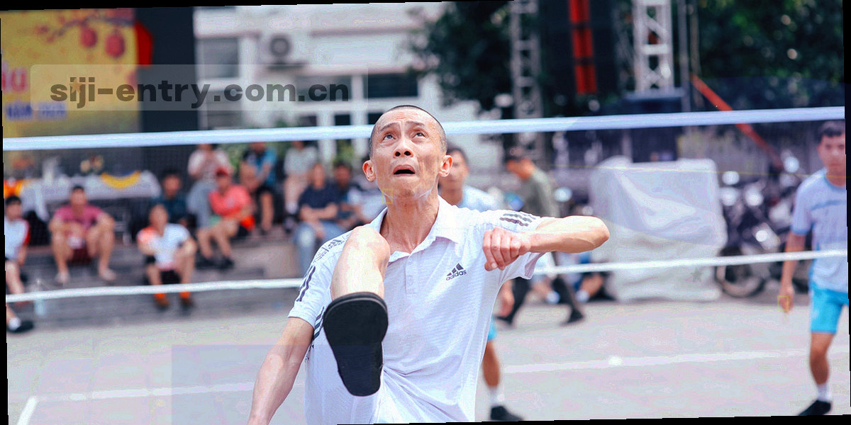 按版本号分格的抽象档案格纹图形